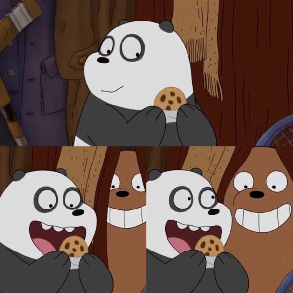 Avatar gấu trúc Panda ăn bánh quy