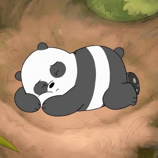 Avatar gấu trúc Panda say giấc nồng