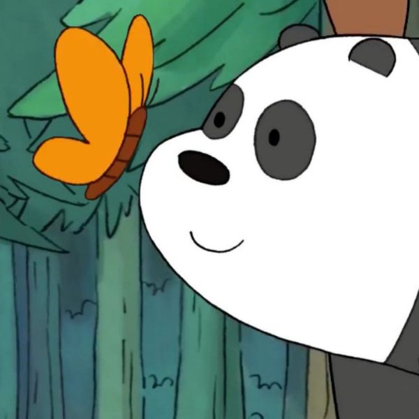 Avatar gấu trúc Panda và bươm bướm