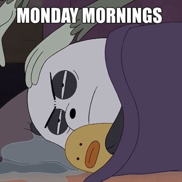 Avatar gấu trúc Panda siêu hài hước: Monday mornings