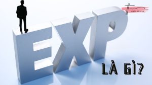 EXP là gì? Phổ quát ý nghĩa EXP trong từng lĩnh vực khác nhau