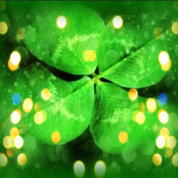 Avatar cỏ bốn lá cùng ánh đèn chiếu lung linh