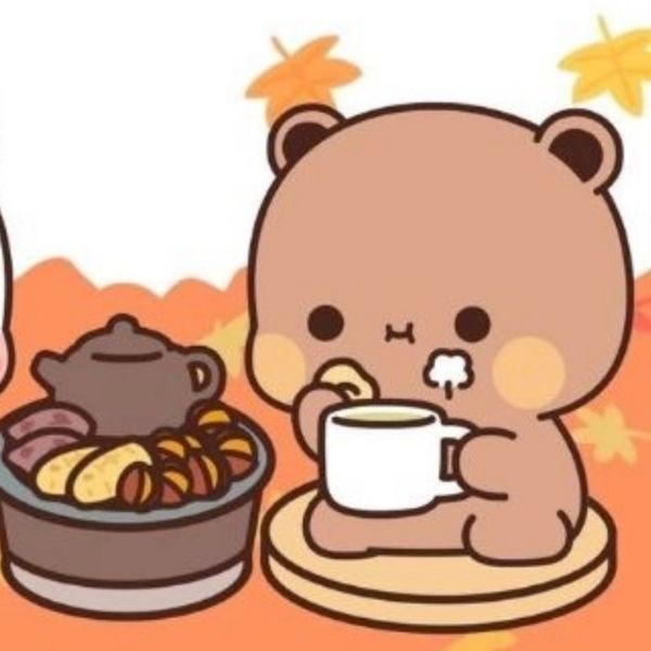 Top 99 hình avatar gấu cute uống trà