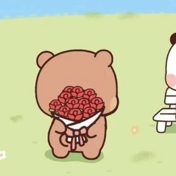 Top 99 hình avatar gấu cute tặng hoa