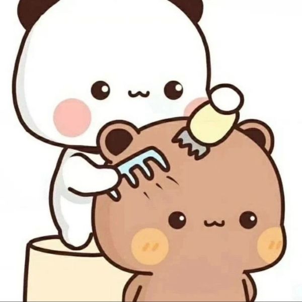 Top 99 hình avatar gấu cute để DUDU hớt tóc cho nhé