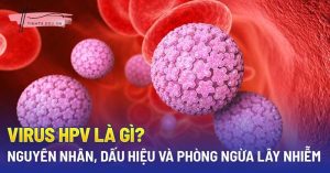 HPV là gì? Cách nhận biết và phòng ngừa lây nhiễm HPV