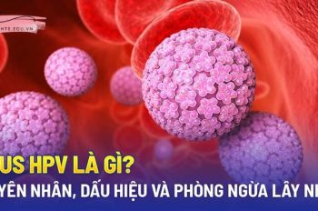 HPV là gì? Cách nhận biết và phòng ngừa lây nhiễm HPV