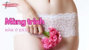 Màng trinh nằm ở đâu? Nhận biết “còn” hay “mất” như thế nào?