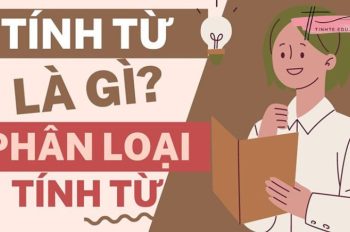 Tính từ là gì? Các loại tính từ phổ biến trong tiếng Việt