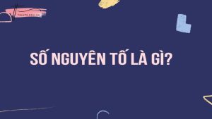 Số nguyên tố là gì? Hướng dẫn 3 cách tìm số nguyên tố