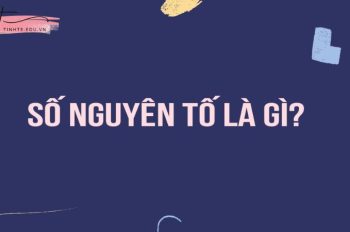 Số nguyên tố là gì? Hướng dẫn 3 cách tìm số nguyên tố