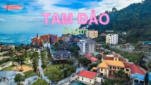 Tam Đảo ở đâu, có gì mà hấp dẫn lượng lớn du khách đến vậy?