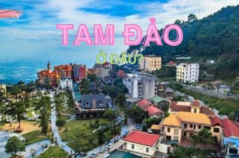 Tam Đảo ở đâu, có gì mà hấp dẫn lượng lớn du khách đến vậy?