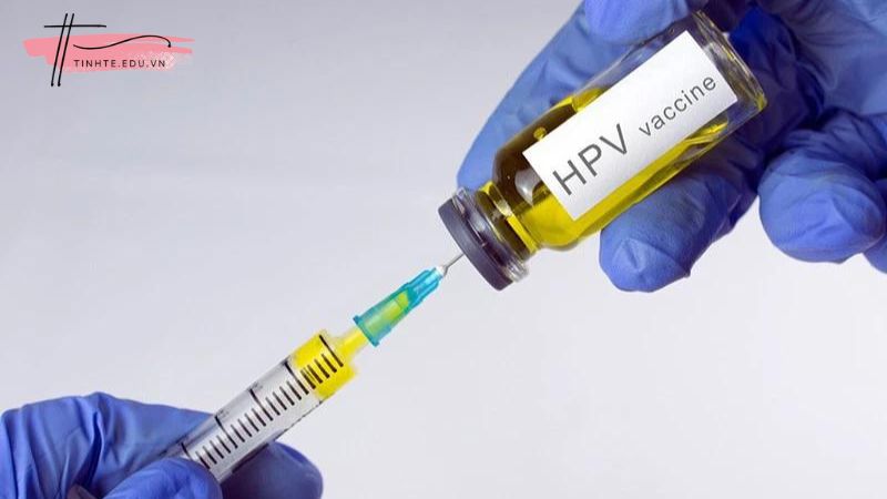 Cách phòng ngừa virus HPV là gì?