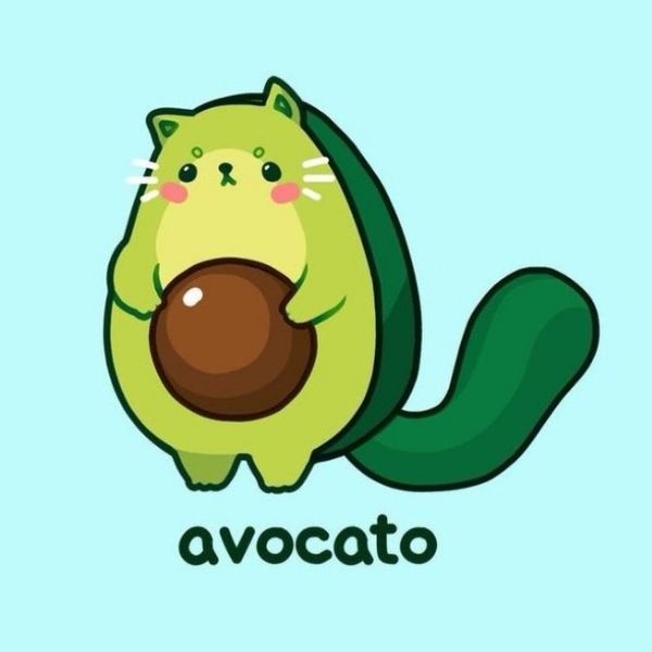 Avatar quả bơ mèo cute