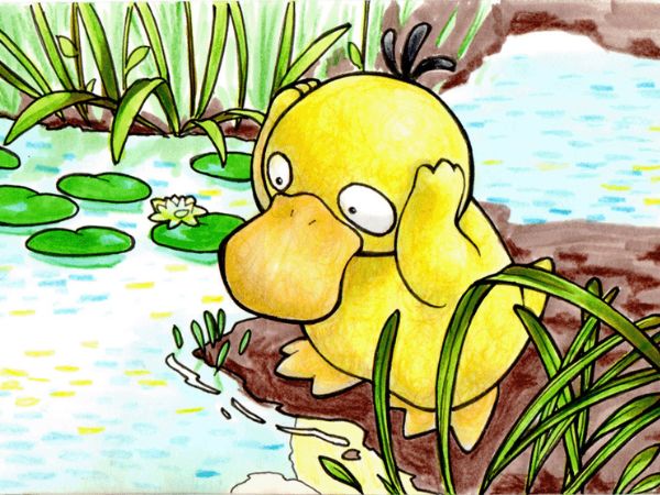 Avatar vịt vàng cute ngoài hồ nước