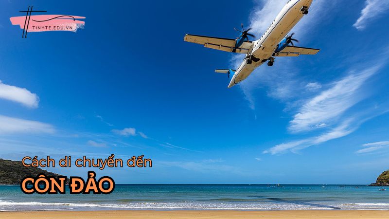 Cách di chuyển đến Côn Đảo