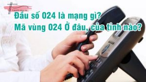 Đầu số 024 ở đâu? Giải mã ý nghĩa & cách nhận biết lừa đảo