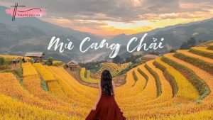 Mù Cang Chải ở đâu? Có gì mà níu chân du khách?