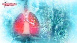 Phổi nằm ở đâu? Làm thế nào để giữ cho phổi khỏe mạnh?