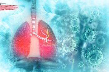 Phổi nằm ở đâu? Làm thế nào để giữ cho phổi khỏe mạnh?