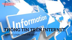 Cấu trúc thông tin trên internet được tổ chức như thế nào?