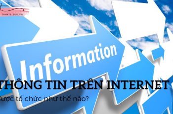 Cấu trúc thông tin trên internet được tổ chức như thế nào?