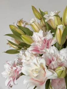 Hình ảnh hoa ly đẹp