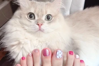 Ghim ngay 181+ mẫu nail chân màu hồng cute xinh hết nấc