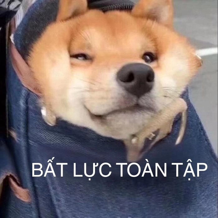 Ảnh bất lực meme cười sặc sụa