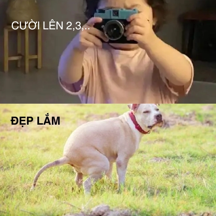 Ảnh chế meme hài bựa cực mặn