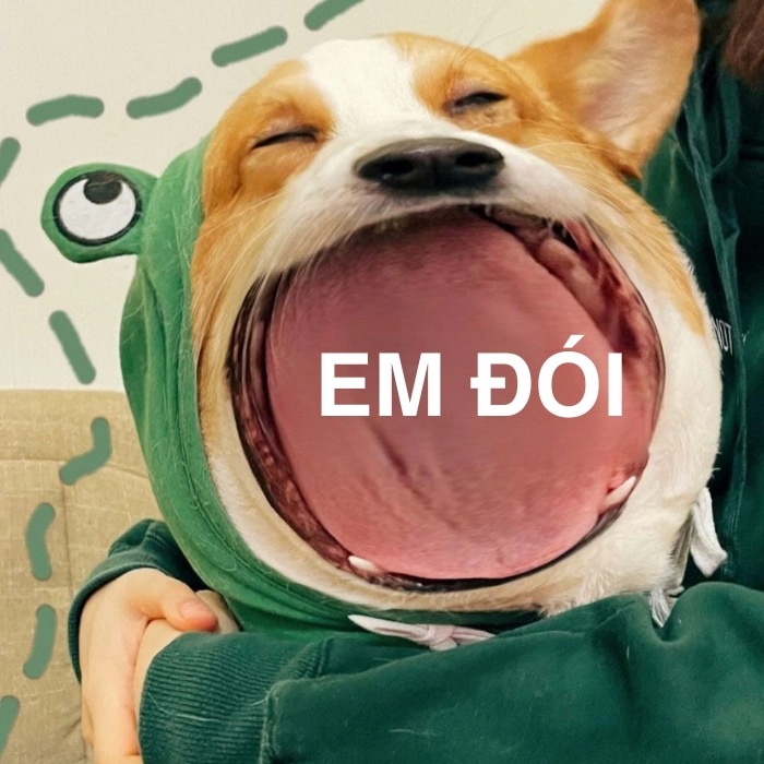 Ảnh meme chế thả thính bá đạo