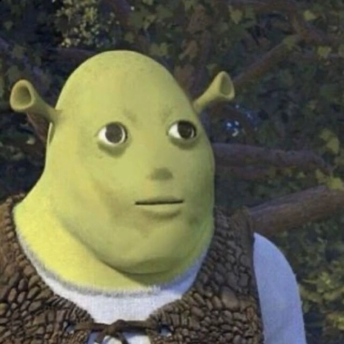 Ảnh meme shrek biểu cảm ko nói nên lời