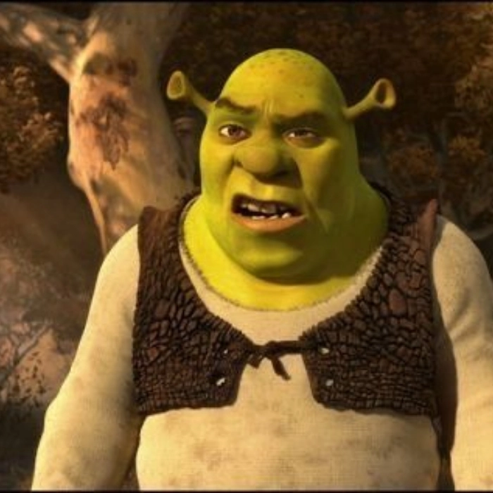 Ảnh meme shrek cục súc