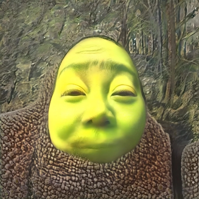 Ảnh meme shrek vừa hài vừa độc