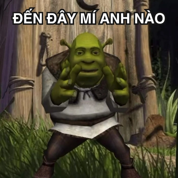 Ảnh shrek meme cực lầy