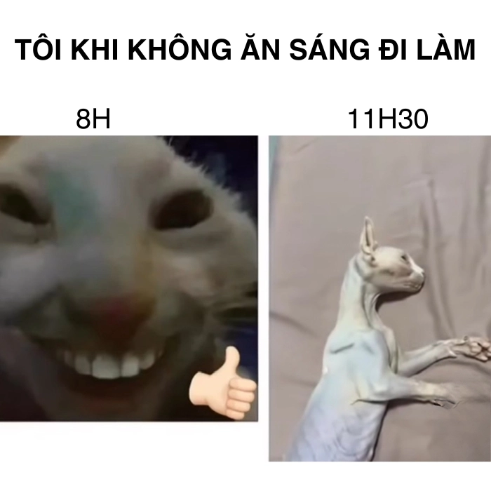 Chế ảnh meme hài siêu mặn