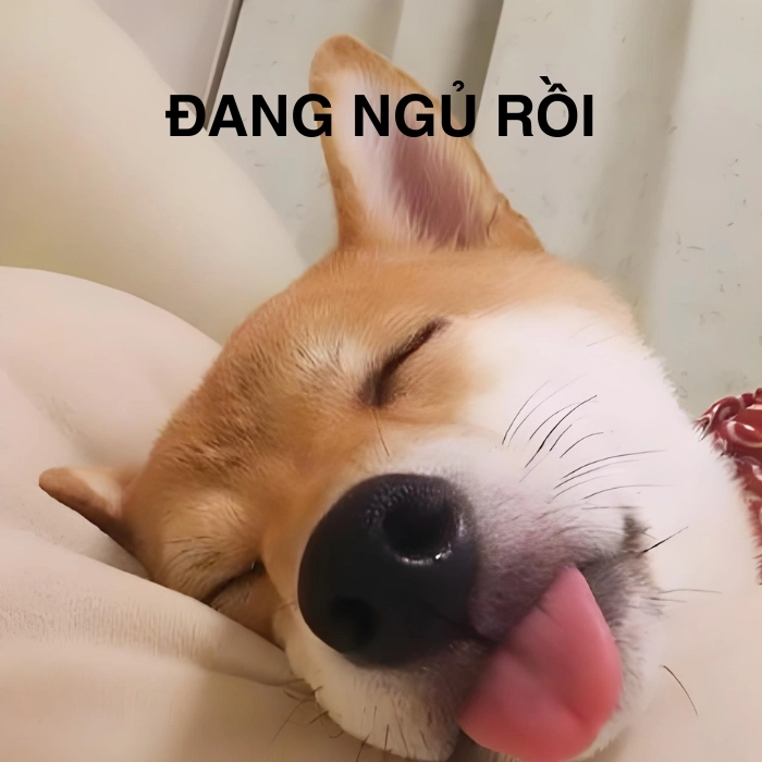 Chế meme chất như nước cất