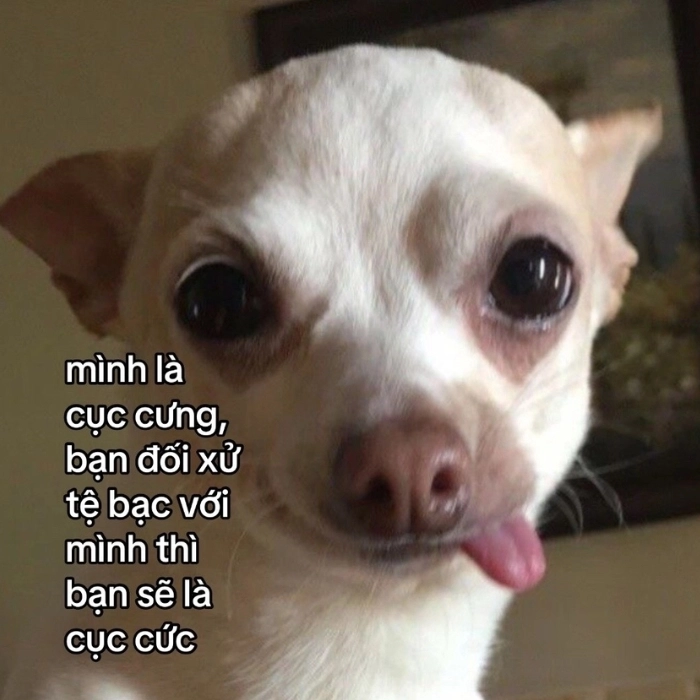 Chế meme hài để đời