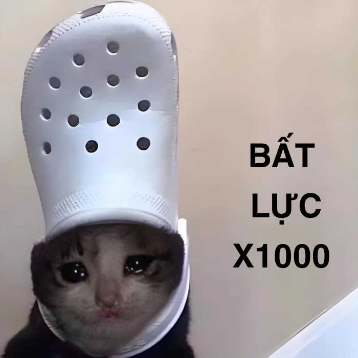 Hình ảnh meme bất lực troll bạn bè
