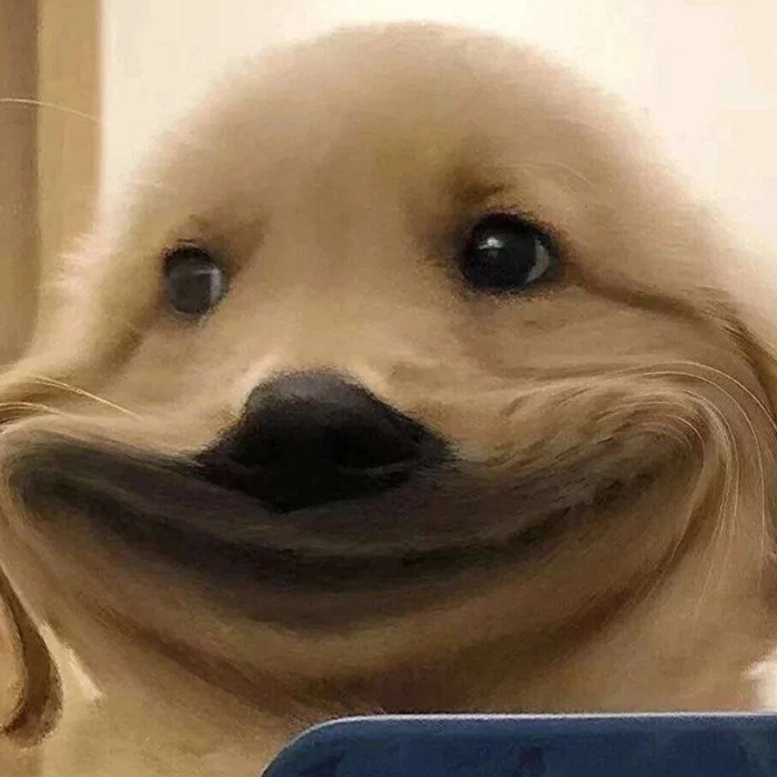 Meme chế cười nghiêng ngả