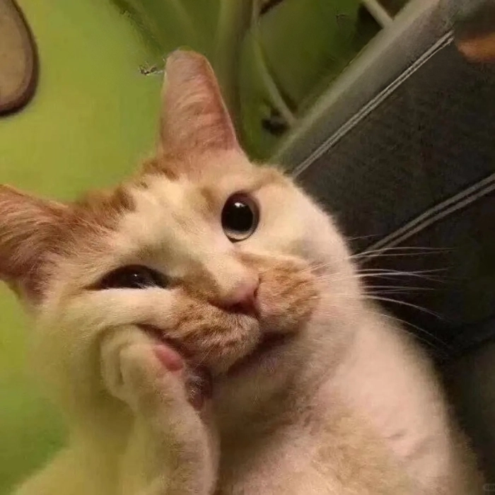 Meme suy tư tấu hài