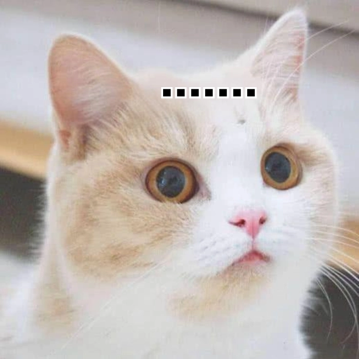 Suy nghĩ meme ngơ ngác