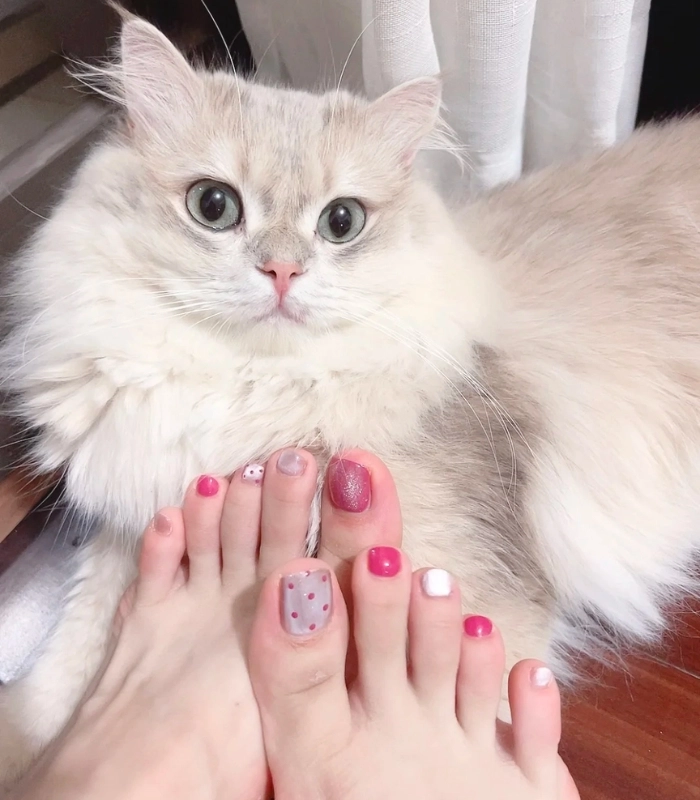 ảnh mẫu nail chân cute siêu đẹp