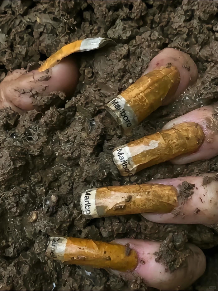 hình ảnh nail độc lạ nhất