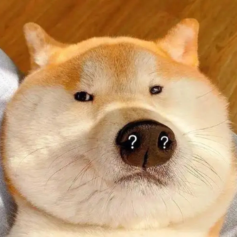 Ảnh meme động vật bá đạo