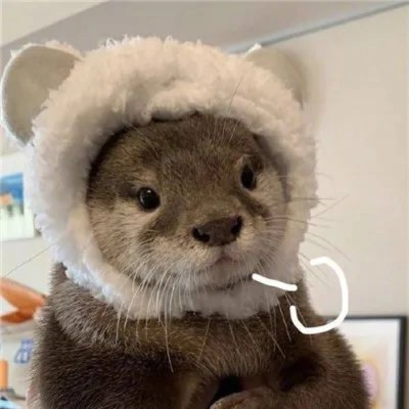 Ảnh meme động vật ngộ nghĩnh