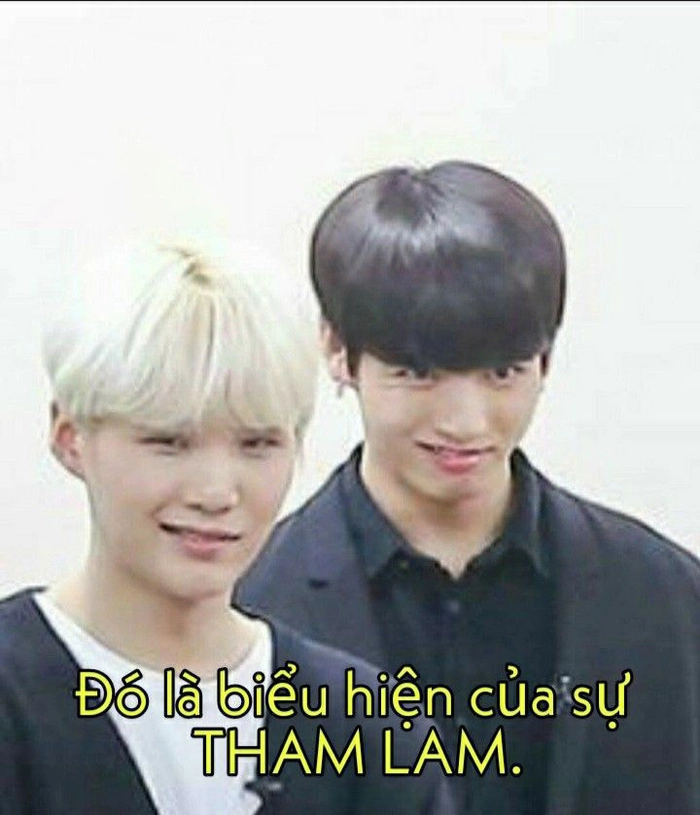 Ảnh meme tham lam ngu dốt hot trend