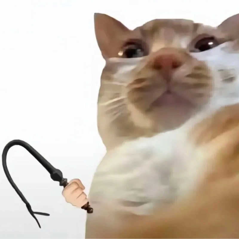 Hình ảnh meme động vật cute ngất