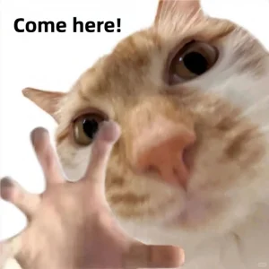 Hình meme động vật hài khó đỡ